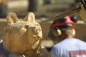A wooden bear being carved with a chainsaw