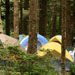 Tents set up between trees